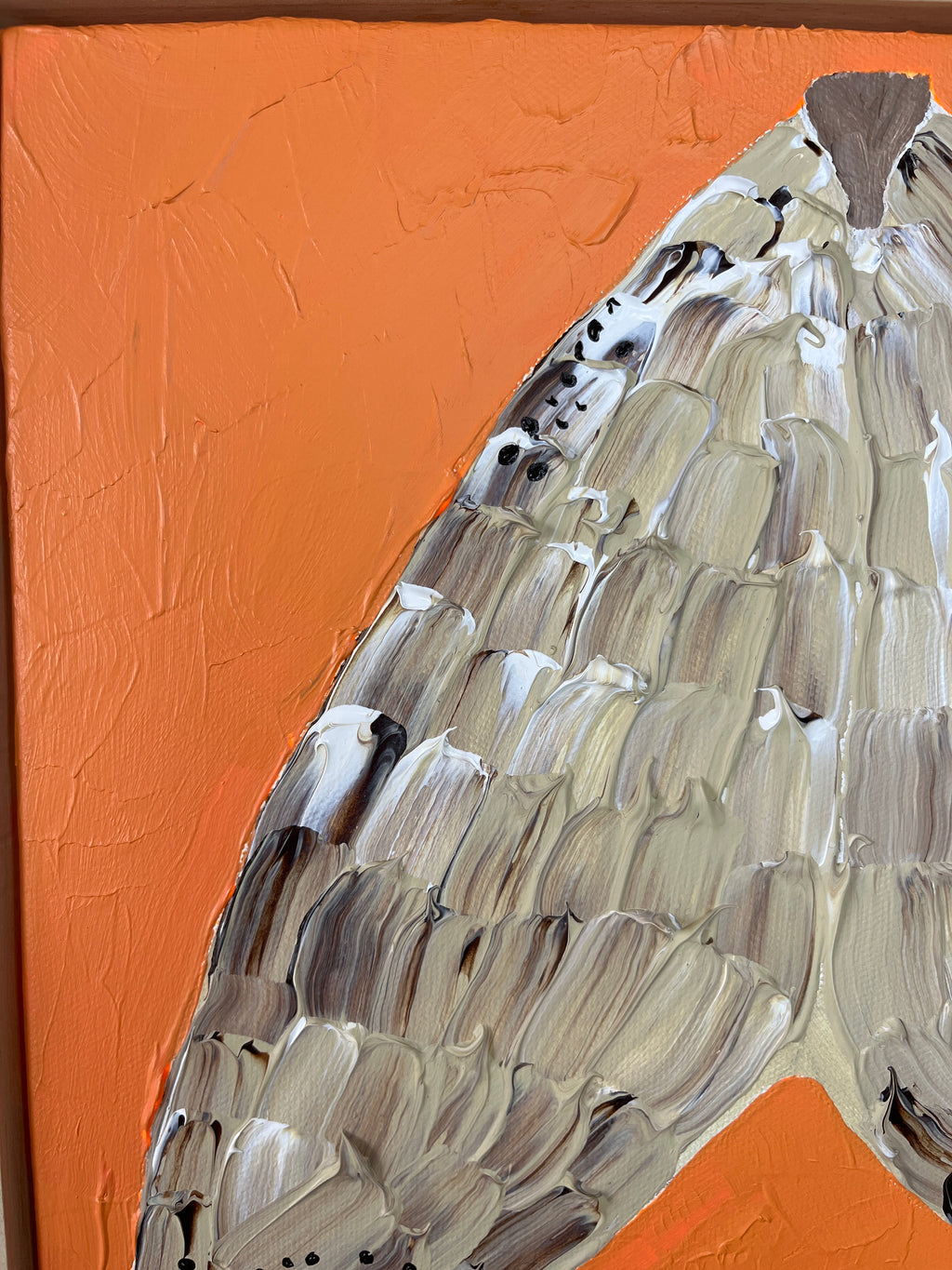 “A moth called Morrie”